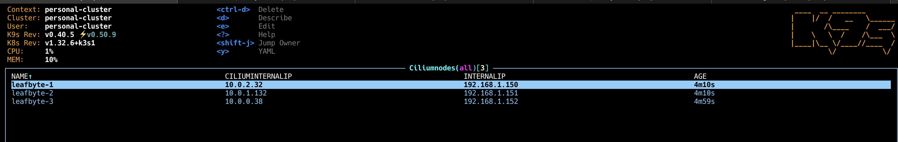Cilium Node