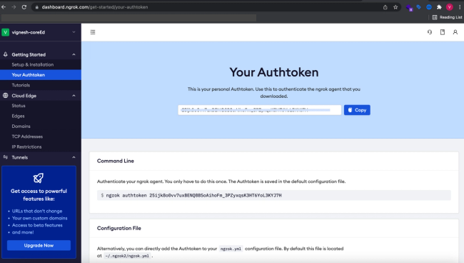 Ngrok Dashboard